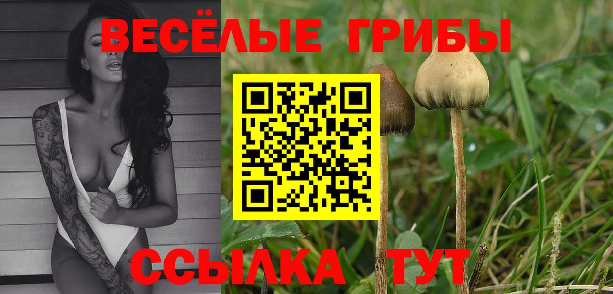 Псилоцибиновые грибы ЛСД  Галлюциногенные грибы мицелий  Вход с VPN  Тайшет 