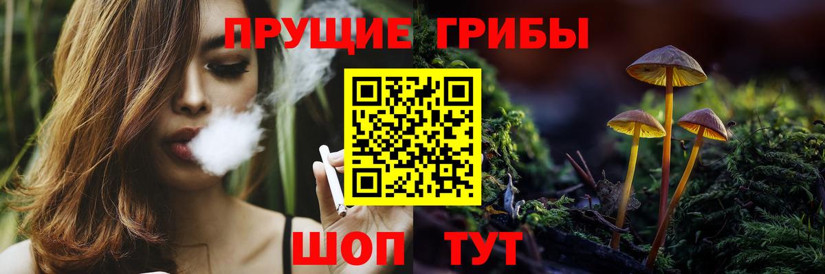 Псилоцибиновые грибы GOLDEN TEACHER Тайшет